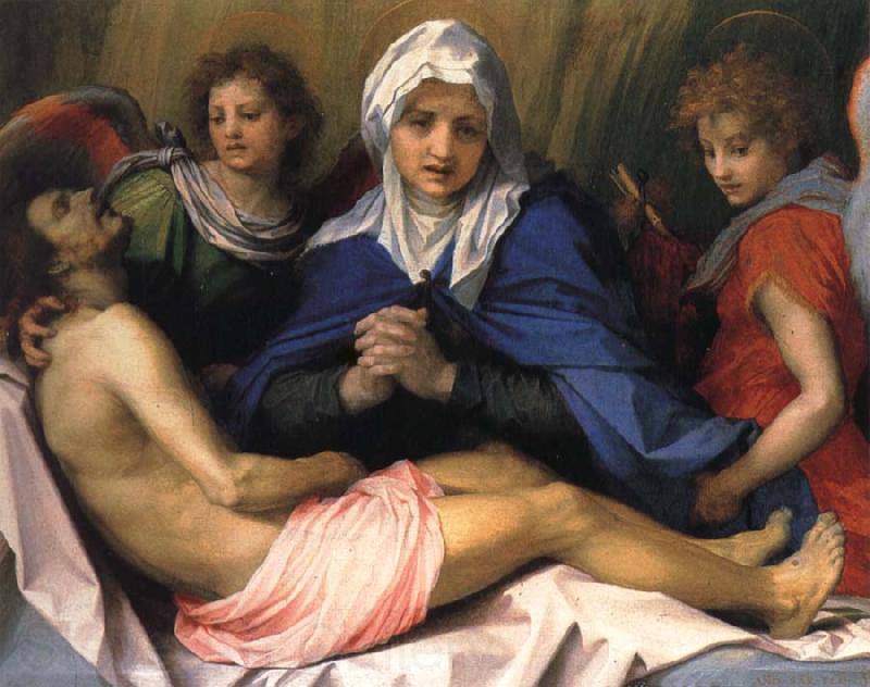 Andrea del Sarto Lamentation of Christ Spain oil painting art